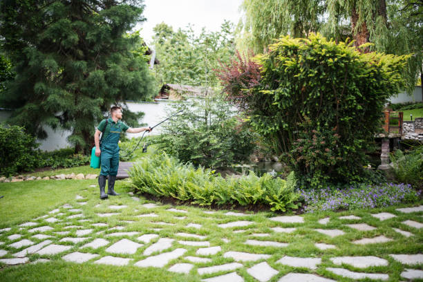 Best Wasp Removal Services  in East San Gabriel, CA