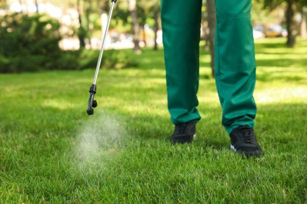 Best Ant Control Services  in East San Gabriel, CA
