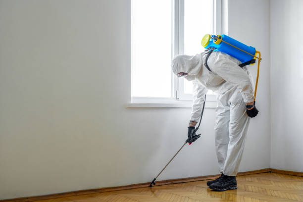  East San Gabriel, CA Pest Control Pros