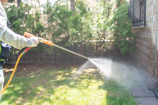 Best Bed Bug Extermination  in East San Gabriel, CA