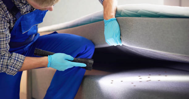 Professional Pest Control in East San Gabriel, CA