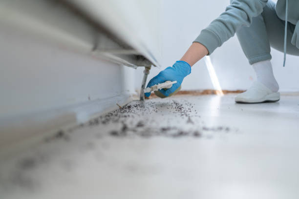 Best Wildlife Control Services  in East San Gabriel, CA